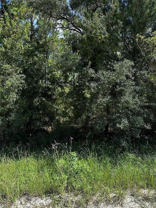 На продажу: $30,000 (1.25 acres)