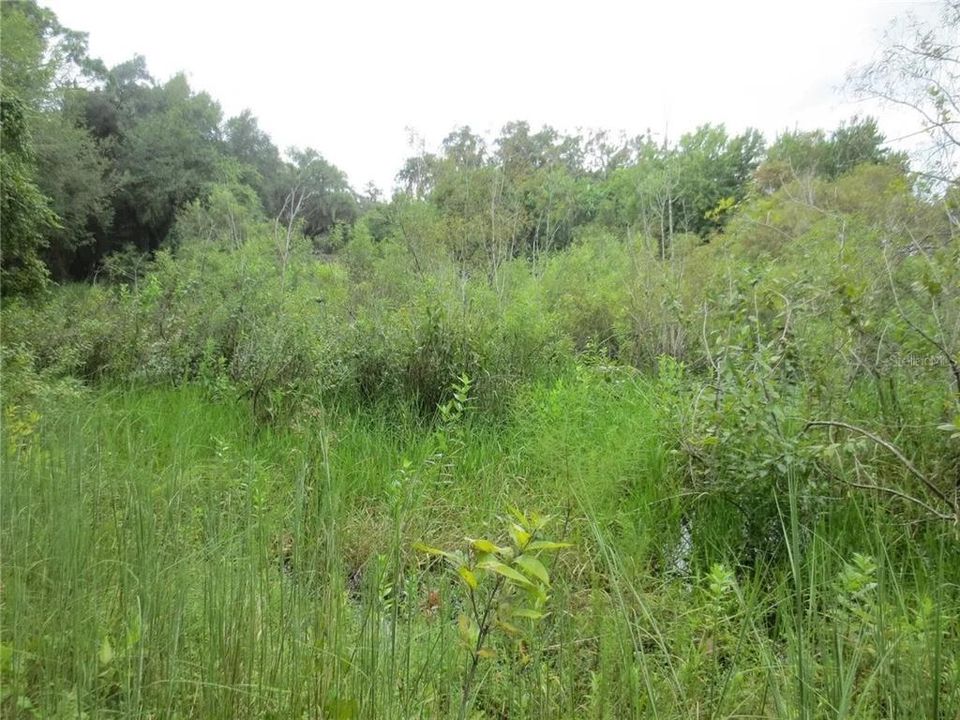 For Sale: $120,000 (2.30 acres)