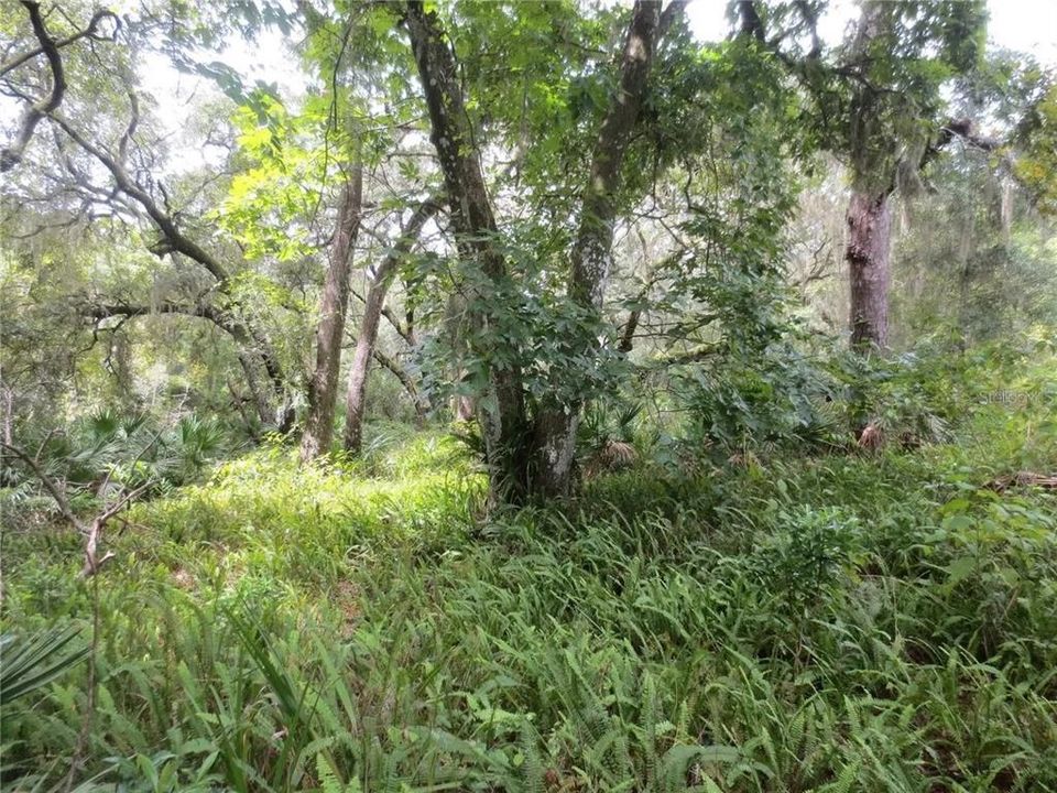 For Sale: $120,000 (2.30 acres)