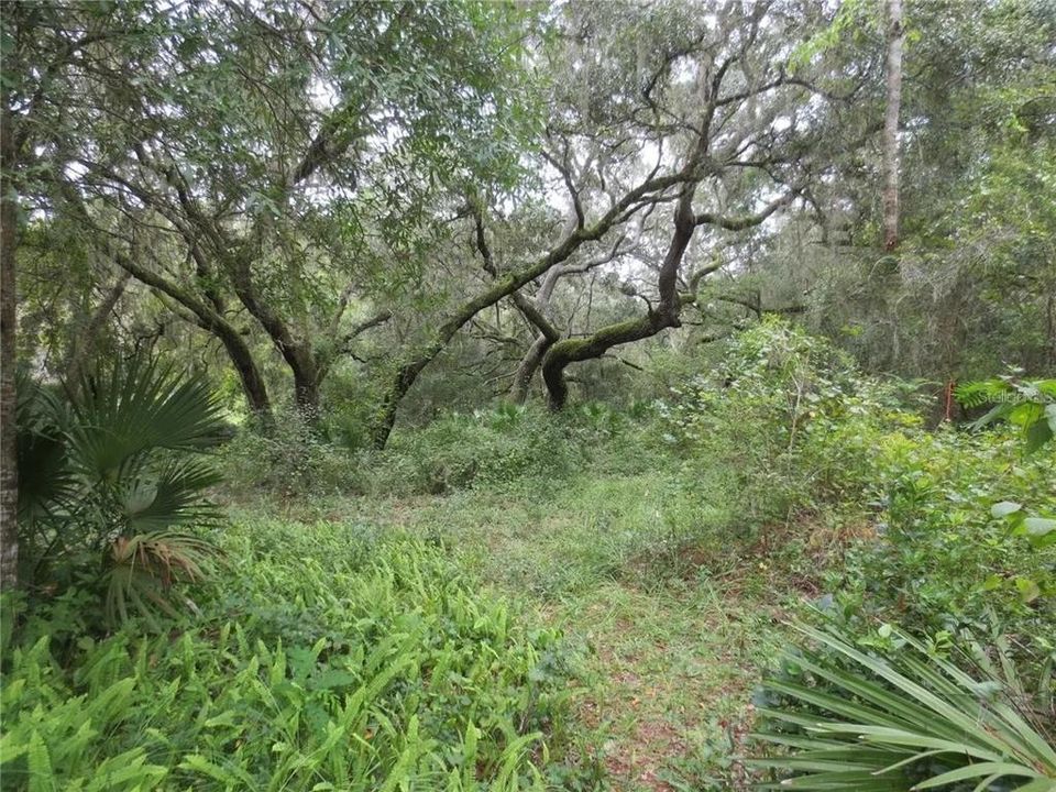 For Sale: $120,000 (2.30 acres)