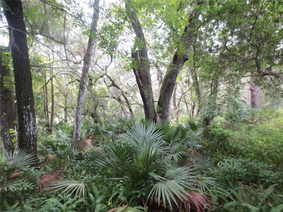 For Sale: $120,000 (2.30 acres)