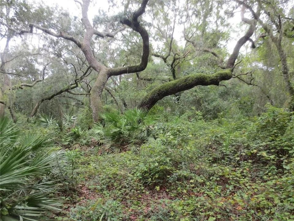 For Sale: $120,000 (2.30 acres)