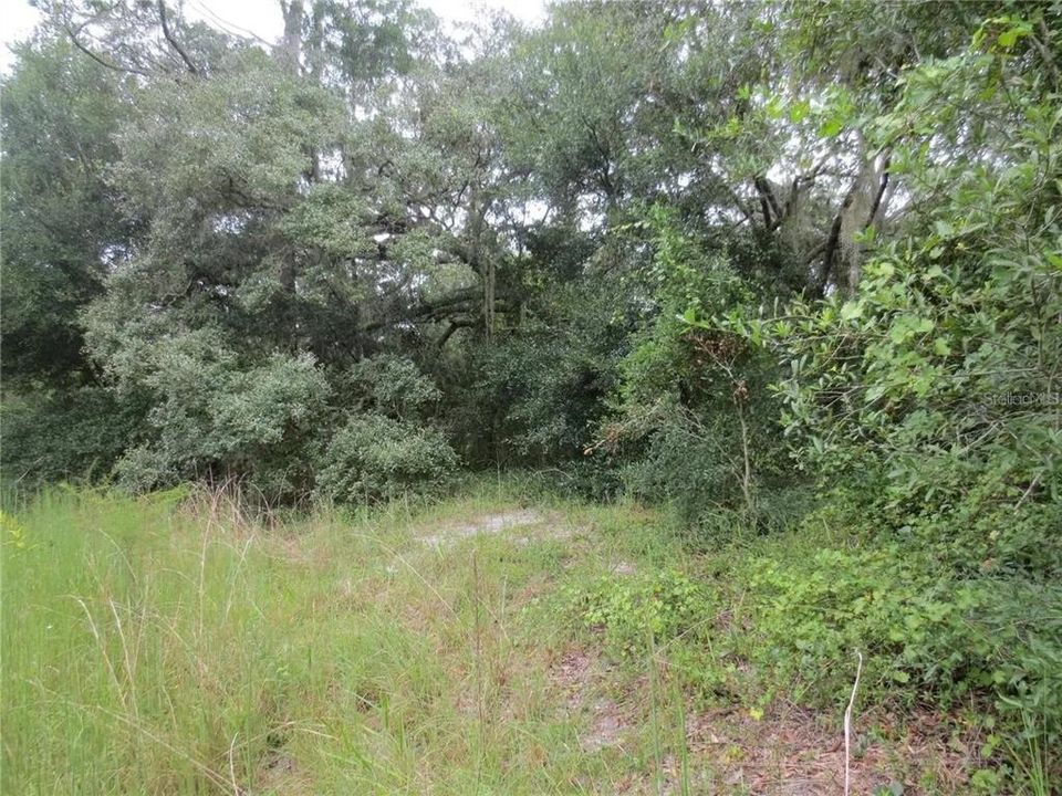 For Sale: $120,000 (2.30 acres)
