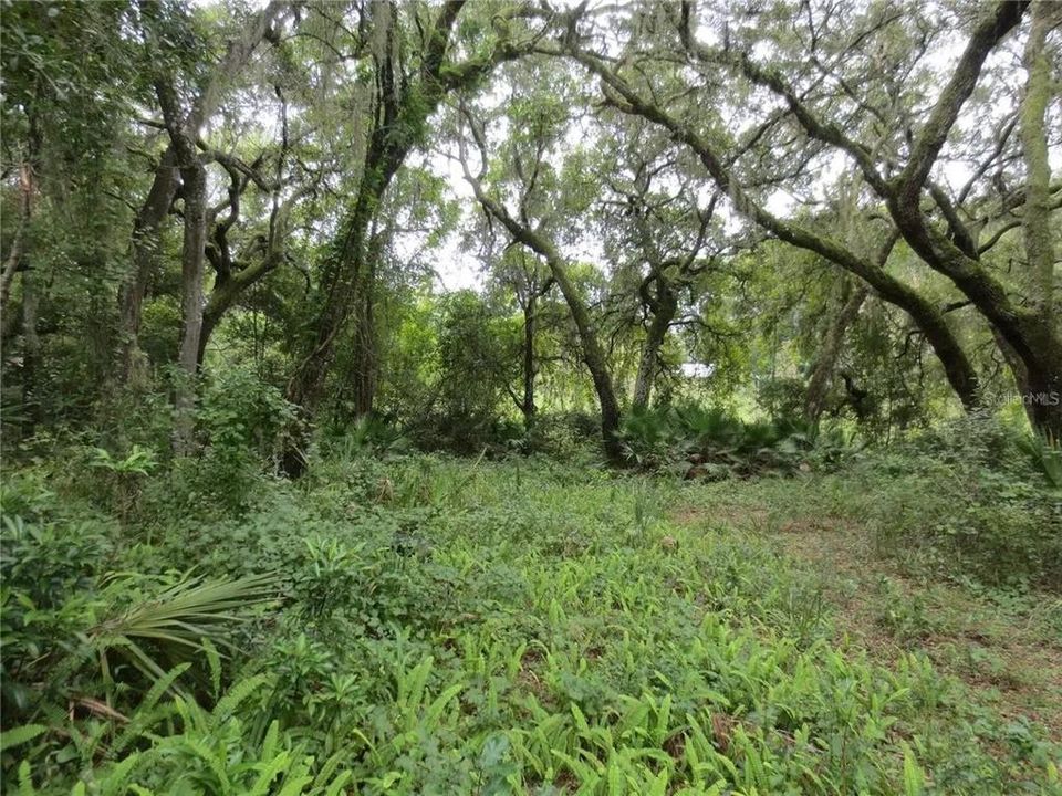 For Sale: $120,000 (2.30 acres)