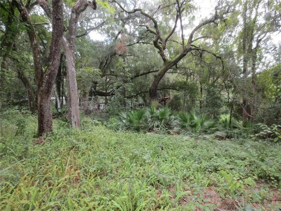 For Sale: $120,000 (2.30 acres)