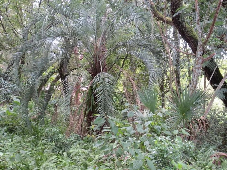 For Sale: $120,000 (2.30 acres)