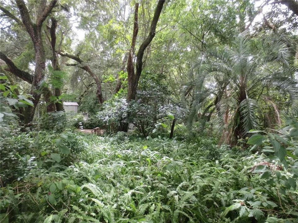 For Sale: $120,000 (2.30 acres)