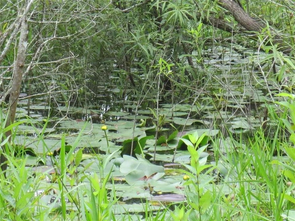 For Sale: $120,000 (2.30 acres)