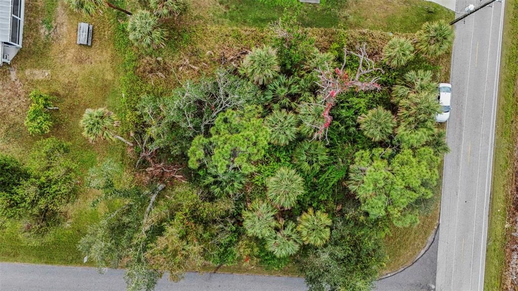 For Sale: $28,000 (0.24 acres)