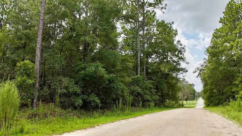For Sale: $79,500 (1.05 acres)