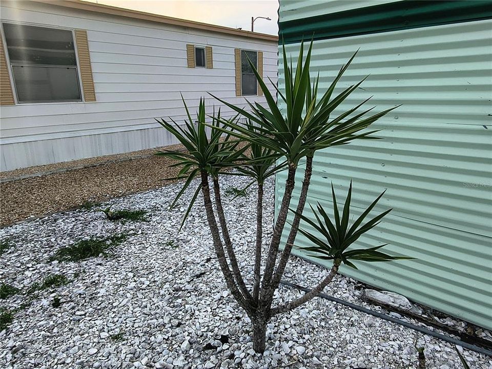 For Sale: $155,500 (2 beds, 2 baths, 989 Square Feet)