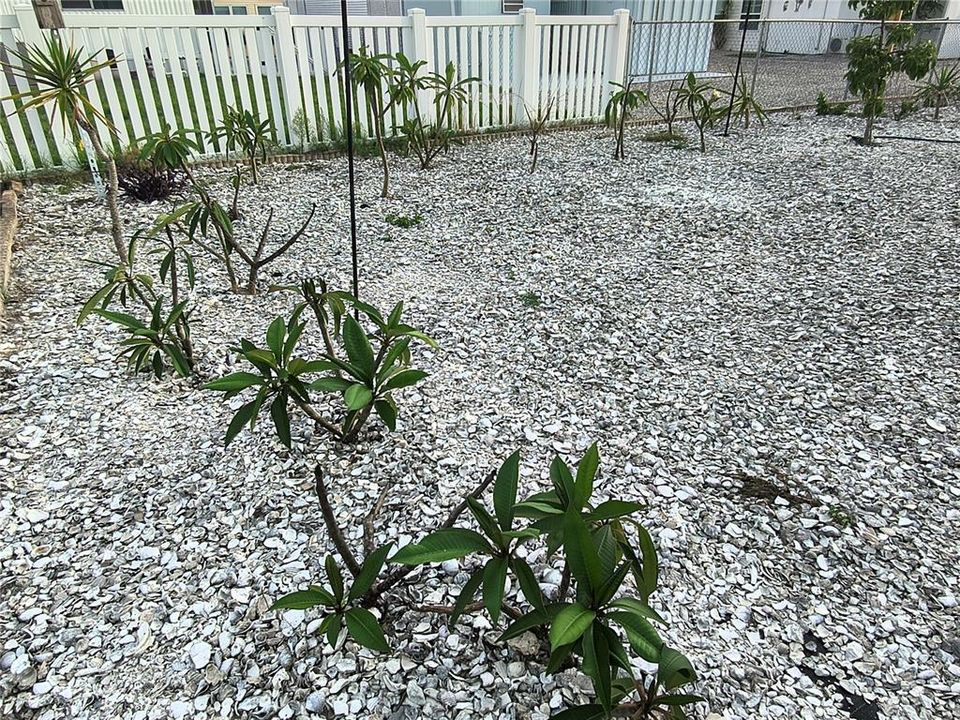 For Sale: $155,500 (2 beds, 2 baths, 989 Square Feet)