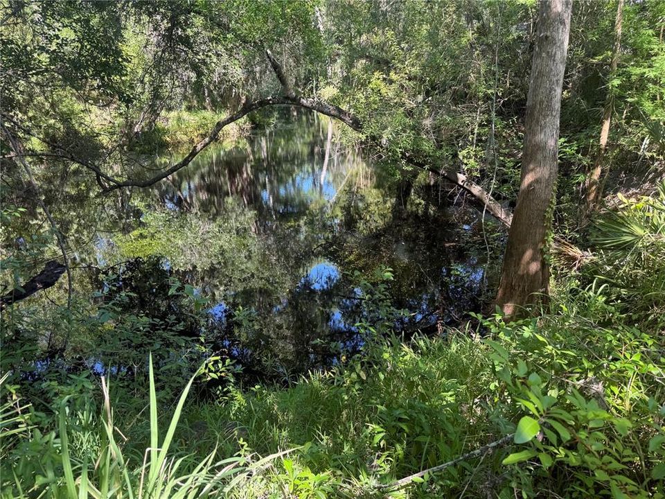For Sale: $45,000 (0.33 acres)