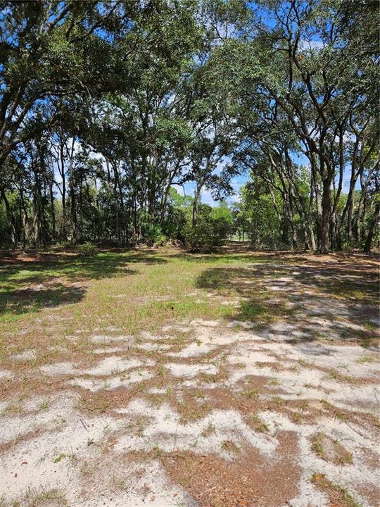 En Venta: $90,000 (1.64 acres)
