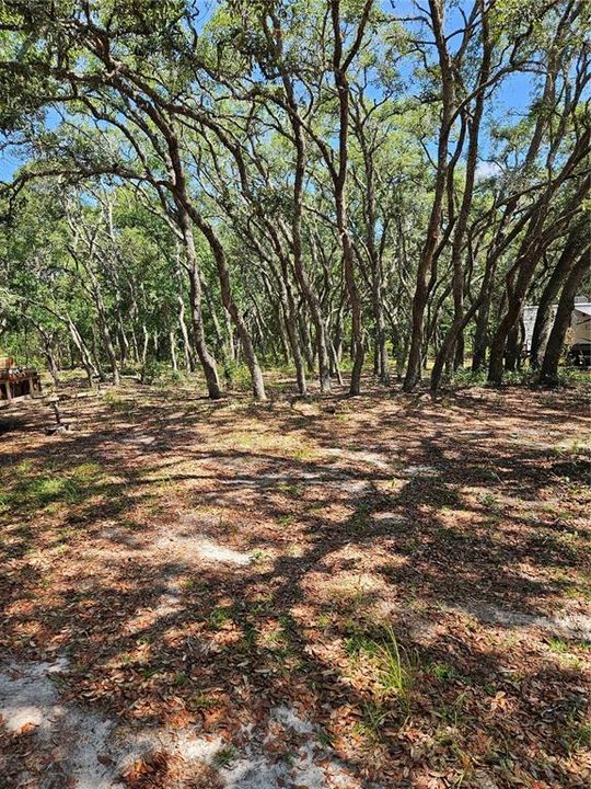 На продажу: $90,000 (1.64 acres)