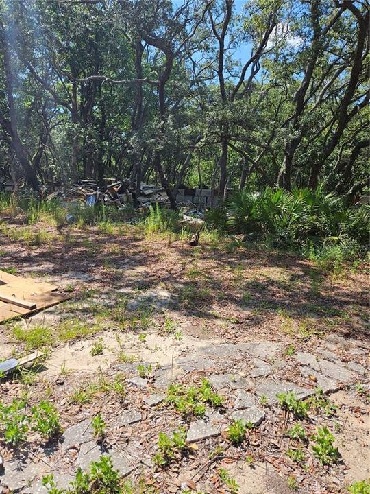 На продажу: $90,000 (1.64 acres)