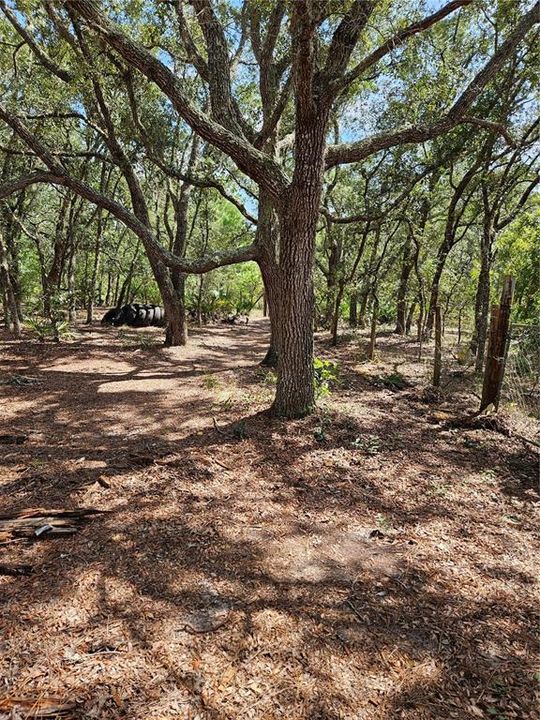 En Venta: $90,000 (1.64 acres)