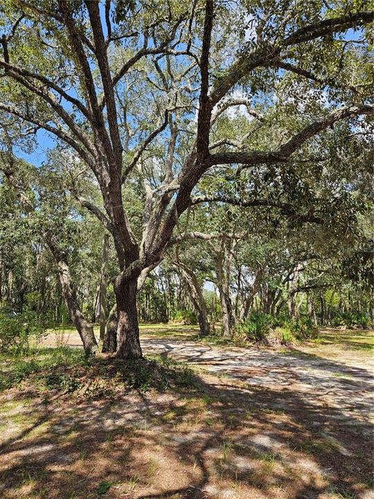 En Venta: $90,000 (1.64 acres)