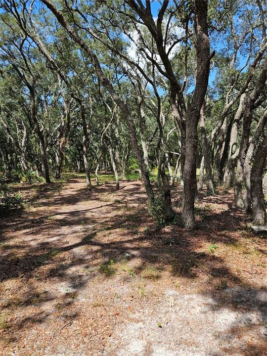 En Venta: $90,000 (1.64 acres)