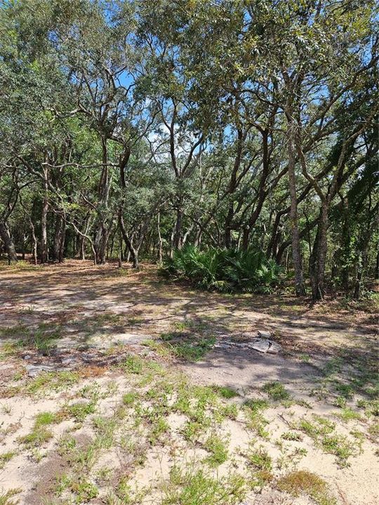 En Venta: $90,000 (1.64 acres)