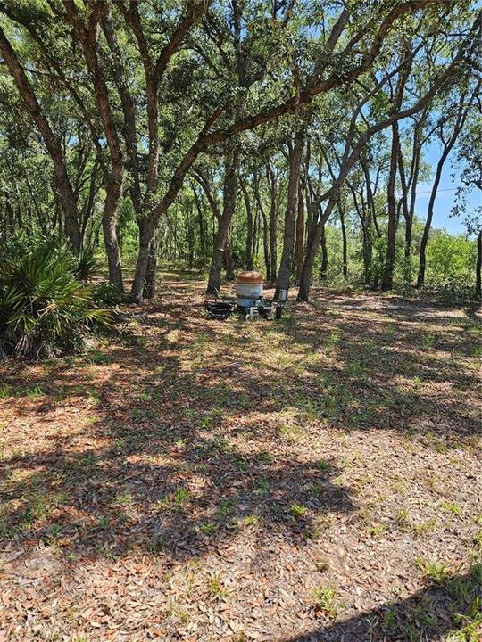 На продажу: $90,000 (1.64 acres)