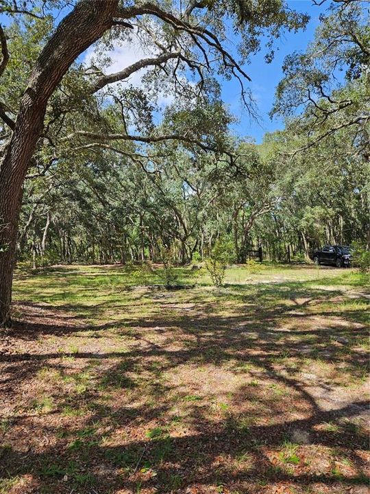 En Venta: $90,000 (1.64 acres)