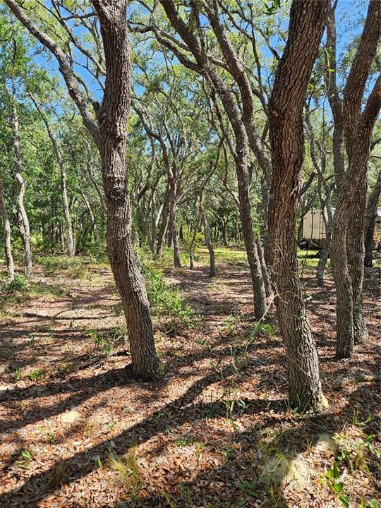 На продажу: $90,000 (1.64 acres)