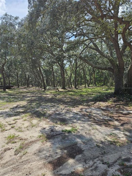 En Venta: $90,000 (1.64 acres)