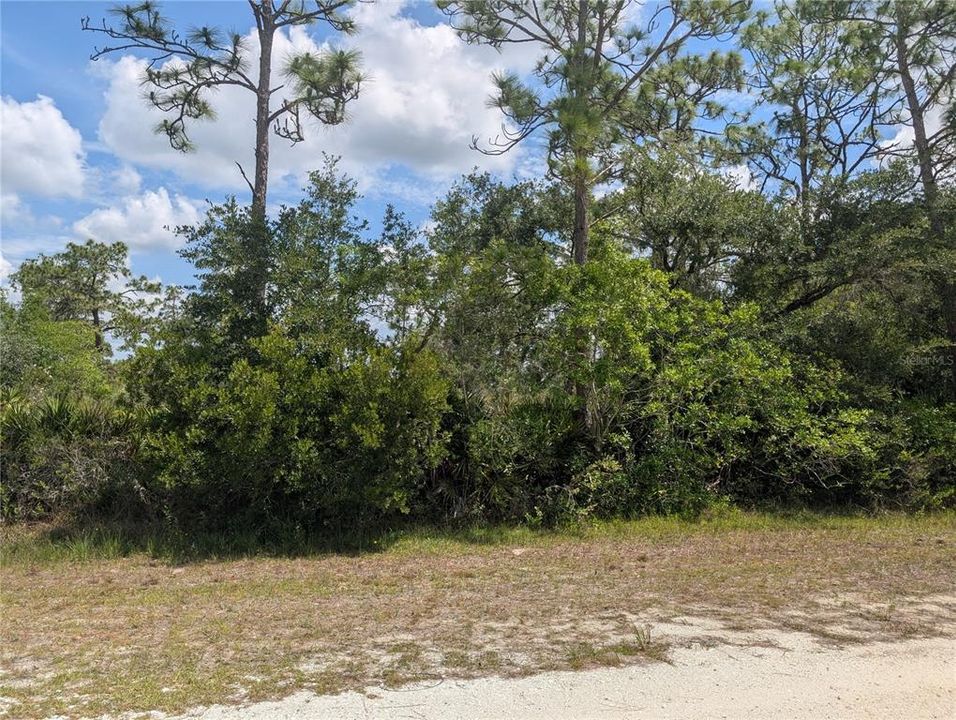 For Sale: $12,000 (0.50 acres)