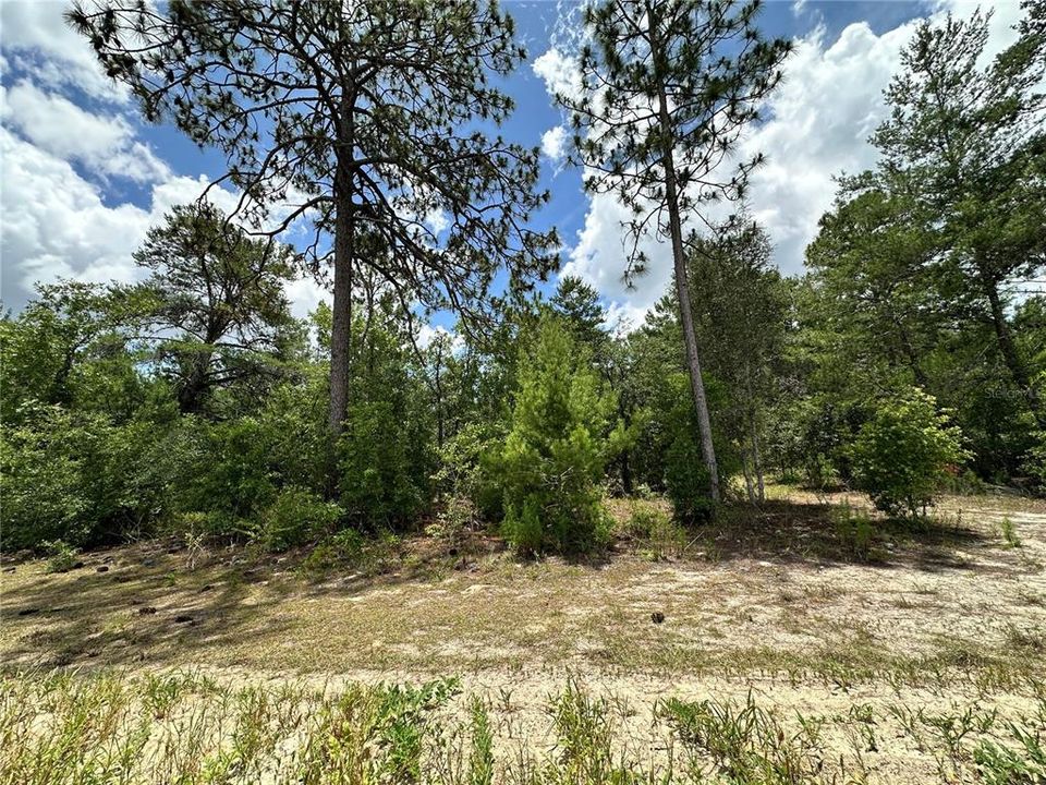 For Sale: $14,000 (0.66 acres)