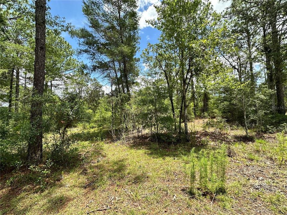 For Sale: $14,000 (0.66 acres)