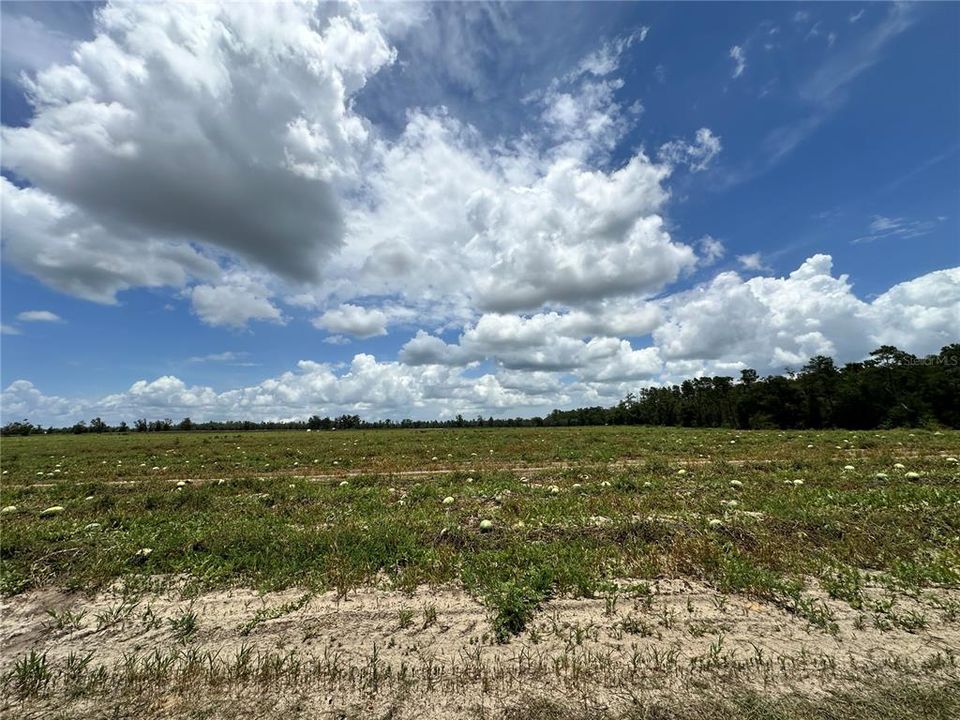 For Sale: $14,000 (0.66 acres)