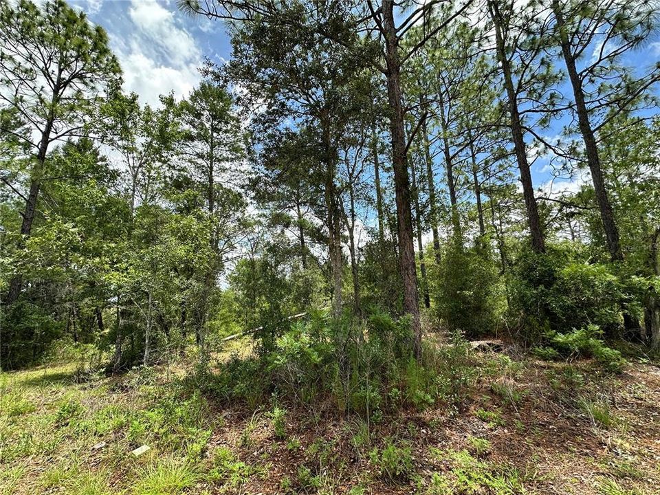 For Sale: $14,000 (0.66 acres)