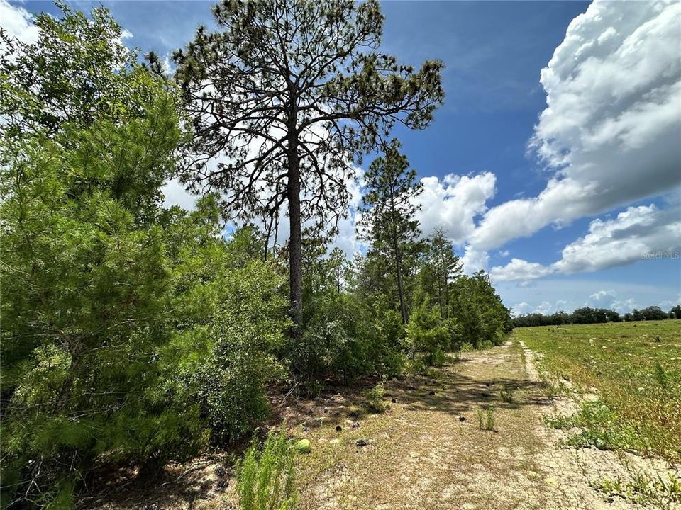 For Sale: $14,000 (0.66 acres)