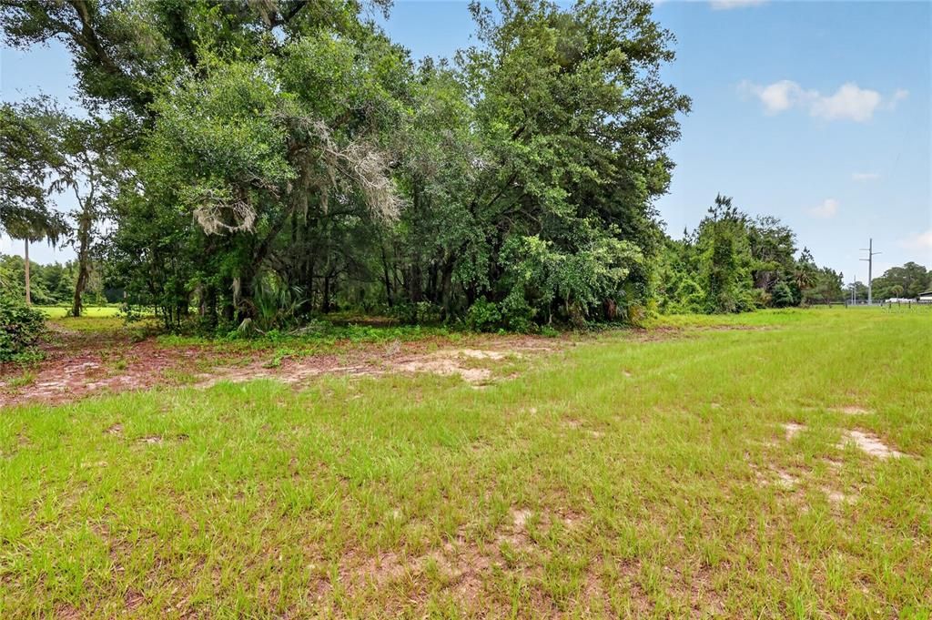 For Sale: $275,000 (20.68 acres)