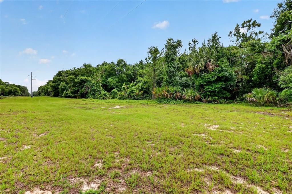 For Sale: $275,000 (20.68 acres)