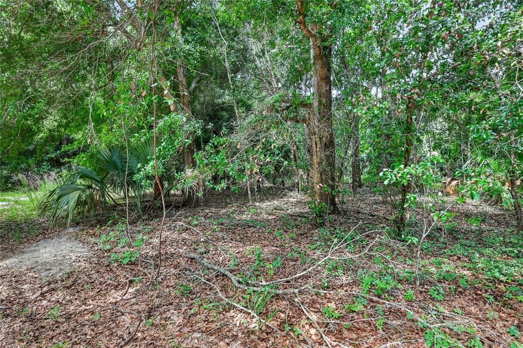 For Sale: $275,000 (20.68 acres)