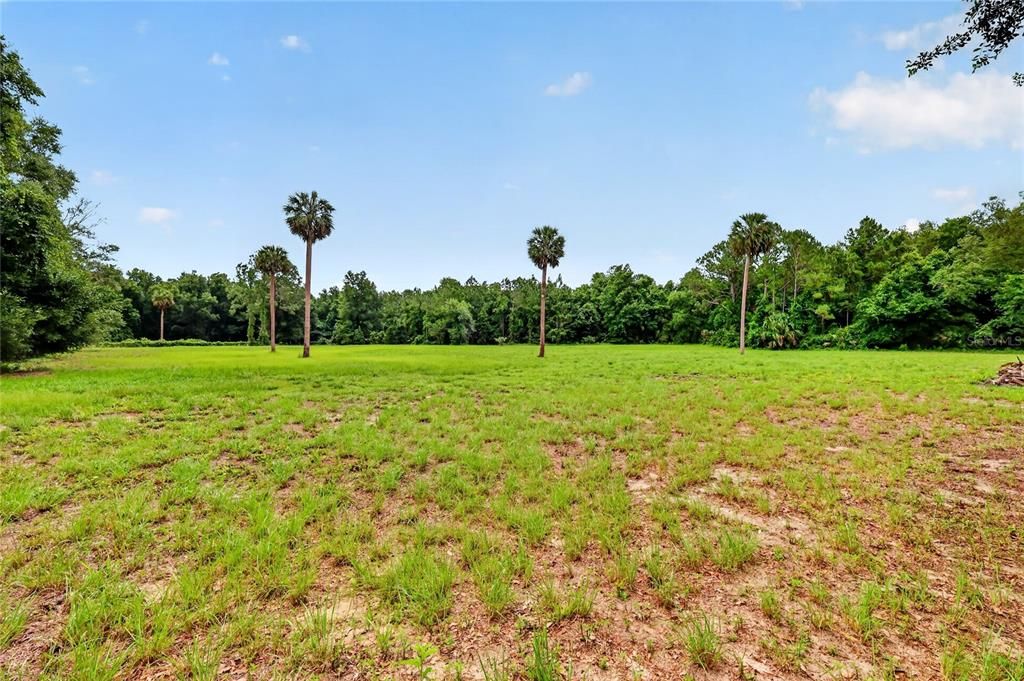 For Sale: $275,000 (20.68 acres)