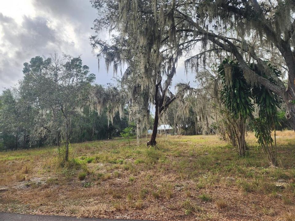 待售: $170,000 (1.00 acres)