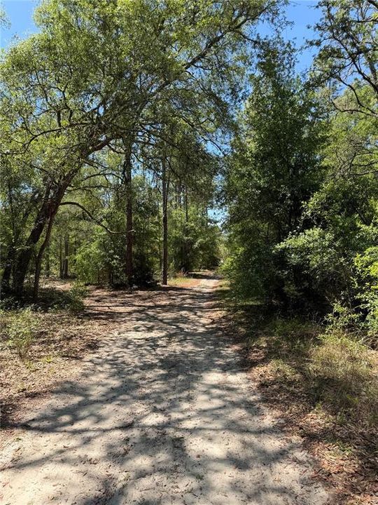 For Sale: $30,000 (1.25 acres)