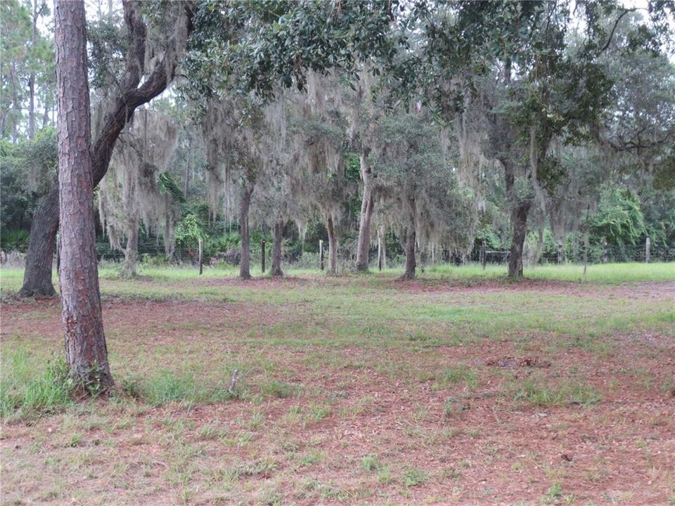 For Rent: $1,795 (3 beds, 2 baths, 1782 Square Feet)