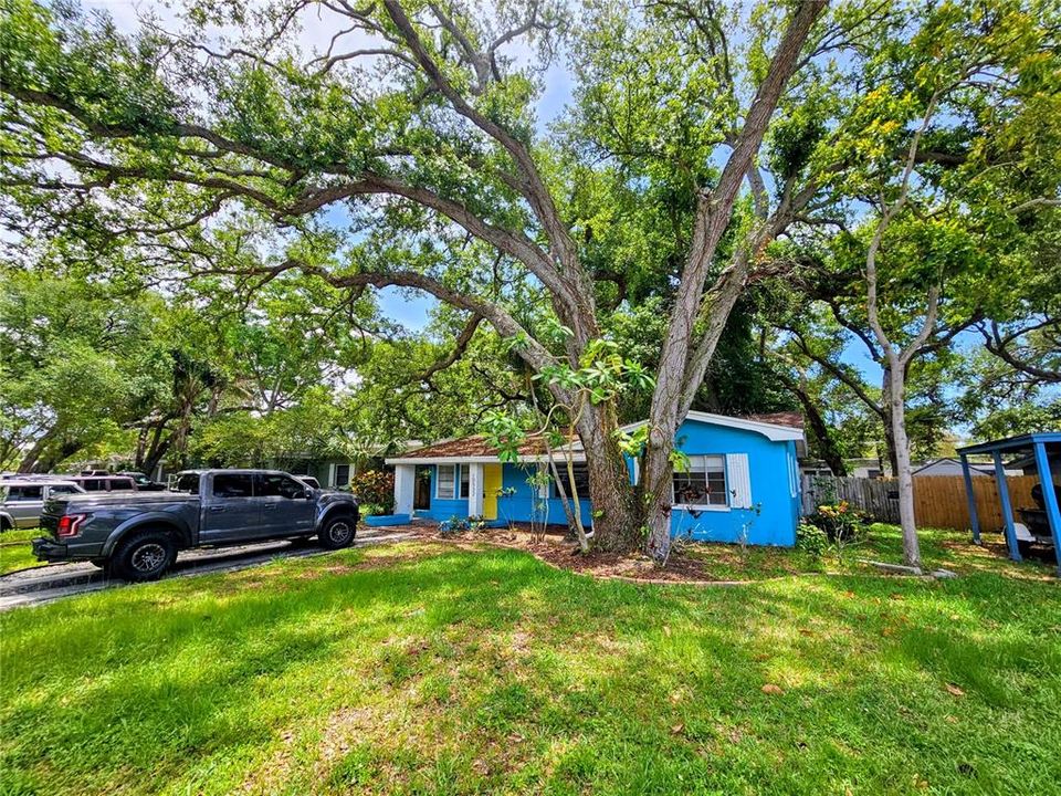 For Rent: $1,800 (2 beds, 1 baths, 1093 Square Feet)