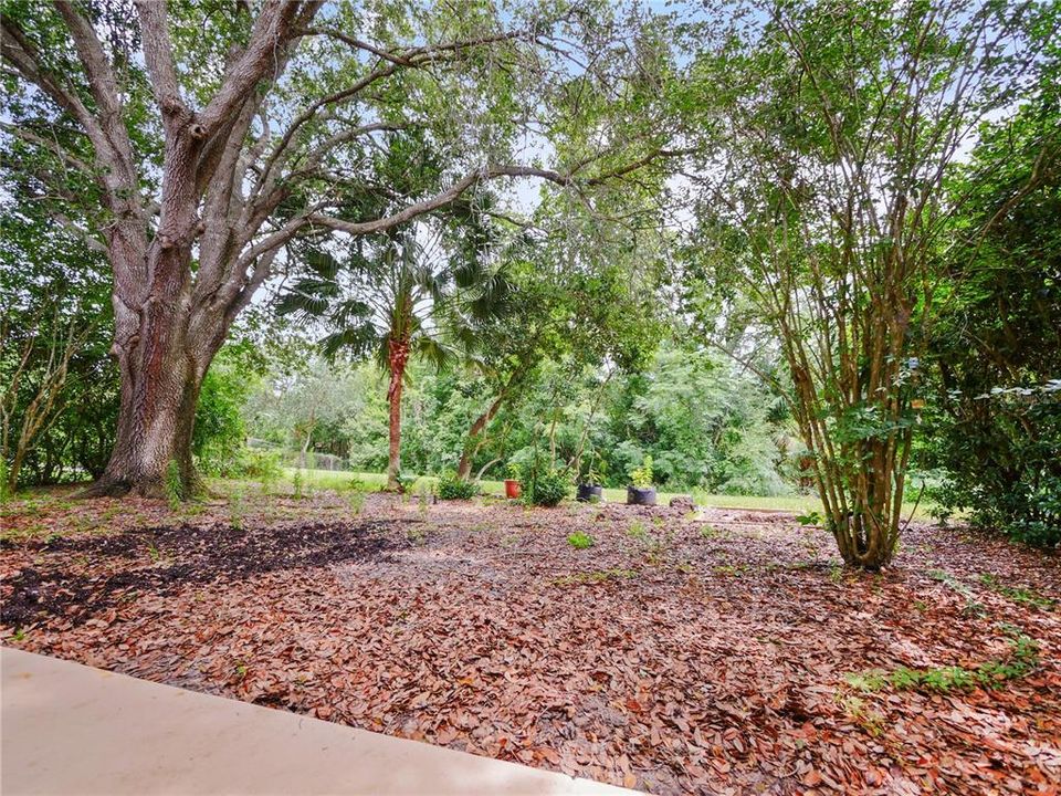 For Sale: $349,900 (3 beds, 2 baths, 1501 Square Feet)
