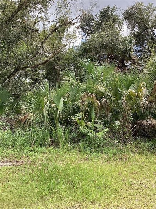 На продажу: $29,900 (0.23 acres)