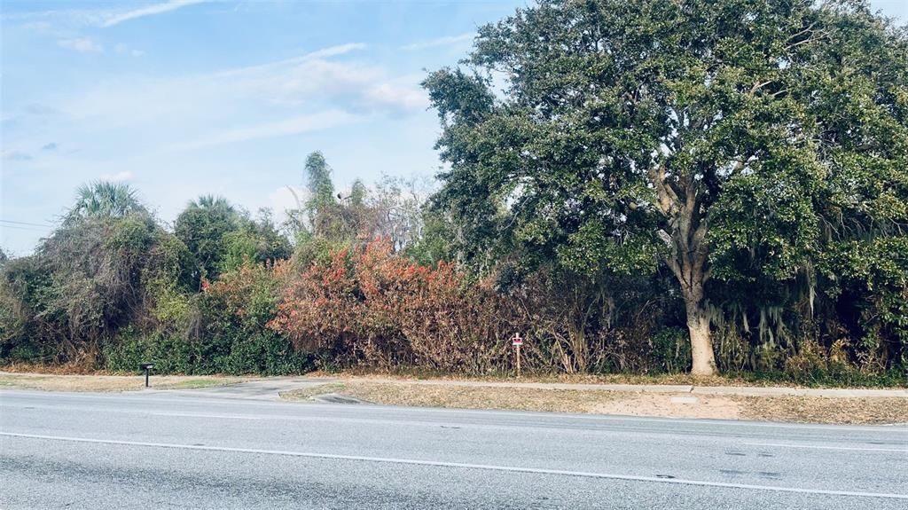待售: $499,000 (1.29 acres)
