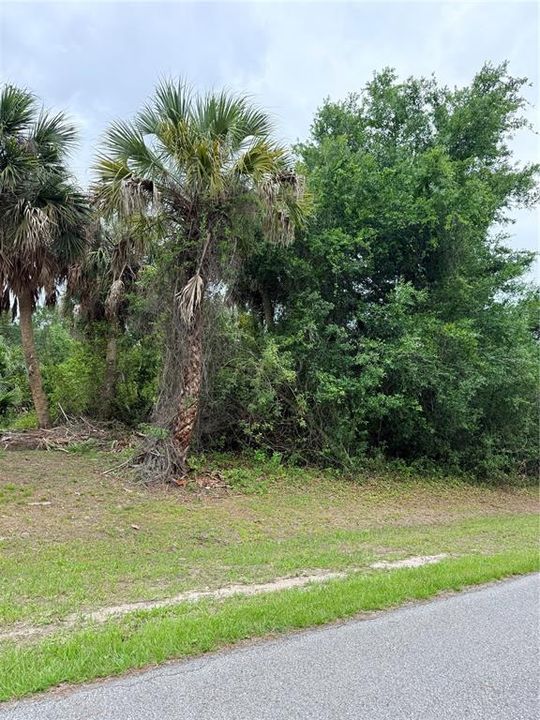 На продажу: $50,000 (0.51 acres)