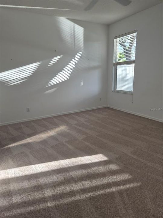 出租: $2,000 (2 贝兹, 2 浴室, 1265 平方英尺)