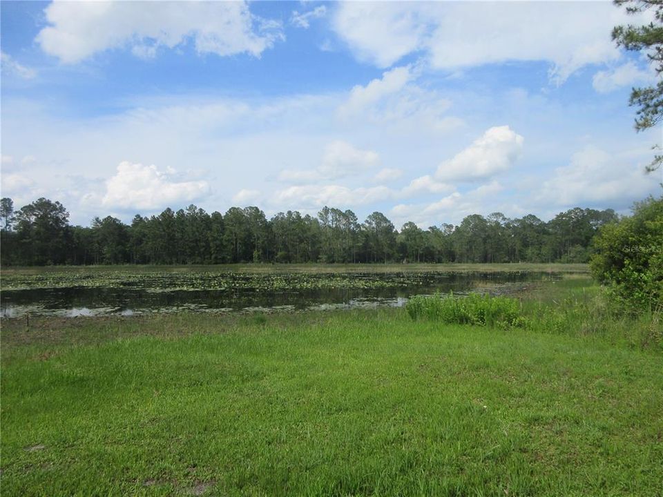 For Sale: $138,000 (6.95 acres)
