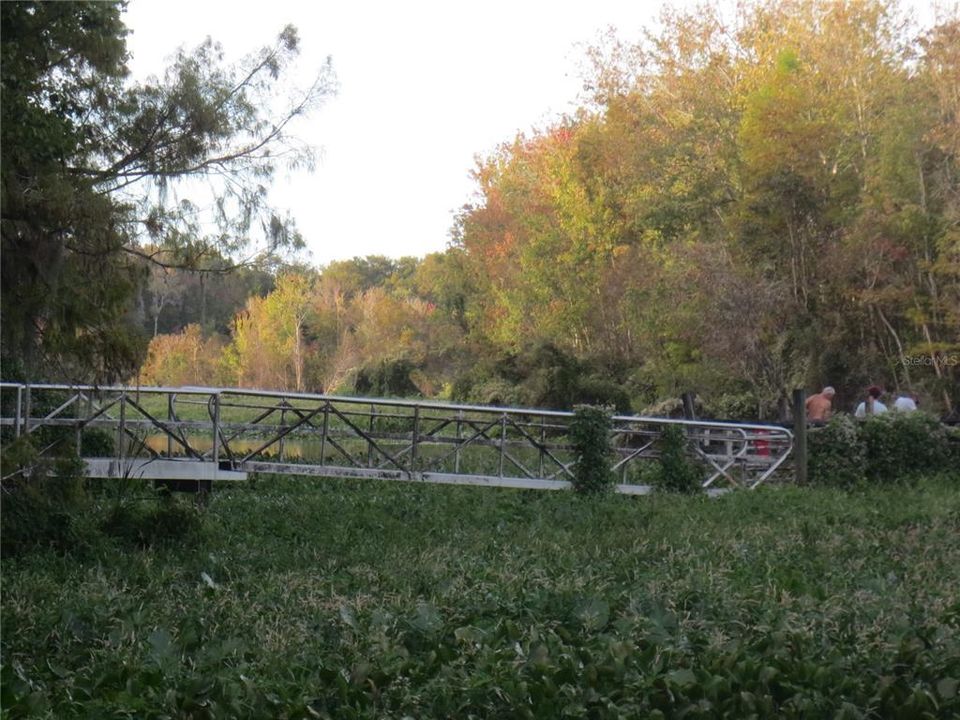 For Sale: $138,000 (6.95 acres)