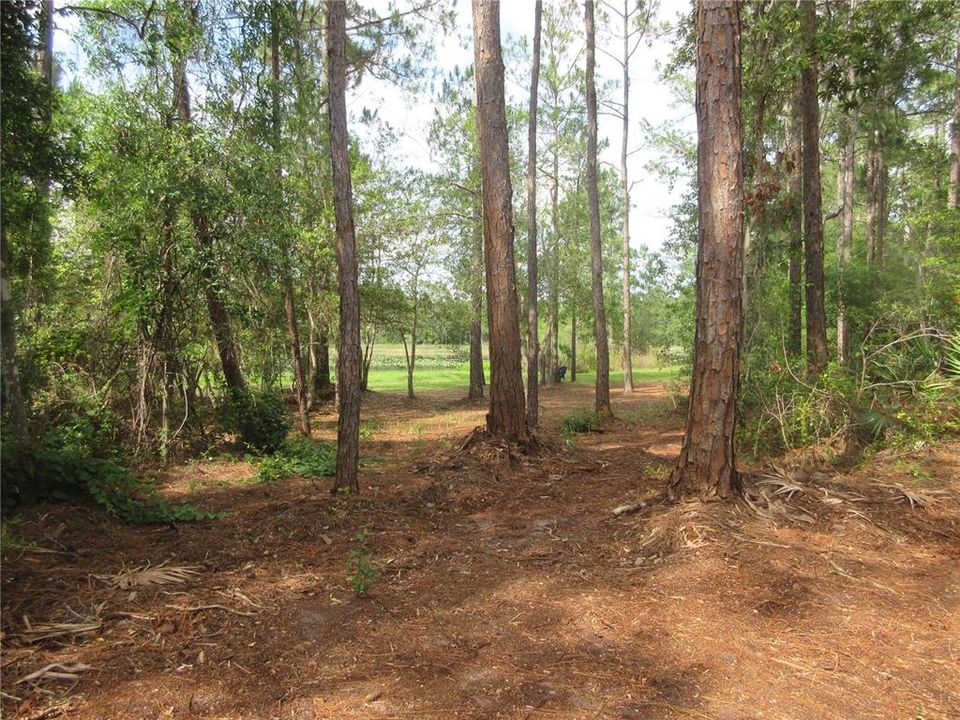 For Sale: $138,000 (6.95 acres)